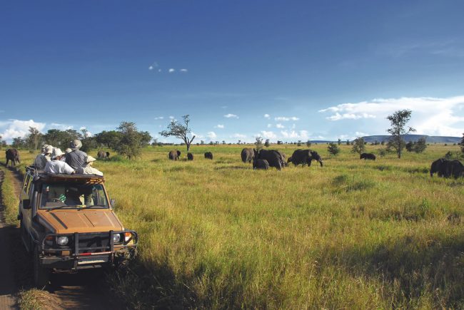 Safari goers watching elephants on the Serengeti Plain in Tanzania